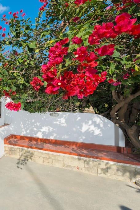 Greek Style Ground Floor Apartment & Pool Ялиссос Экстерьер фото